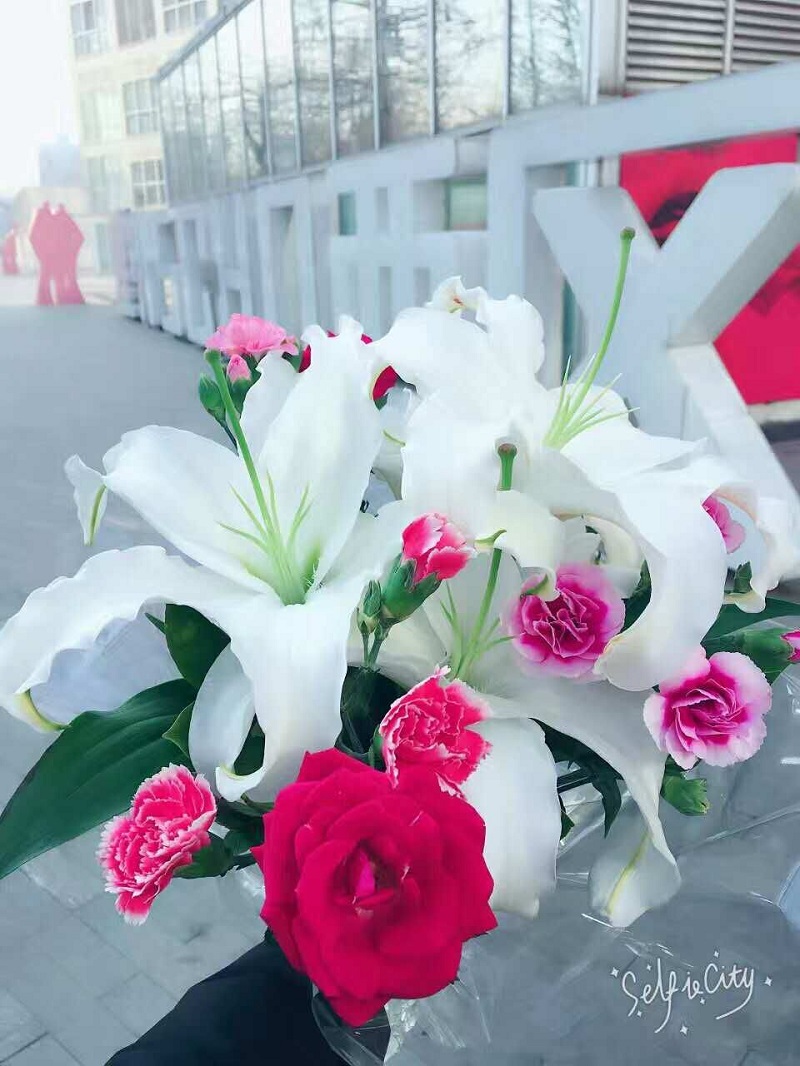 恭賀：北京·易尚國際?新址開工大吉！