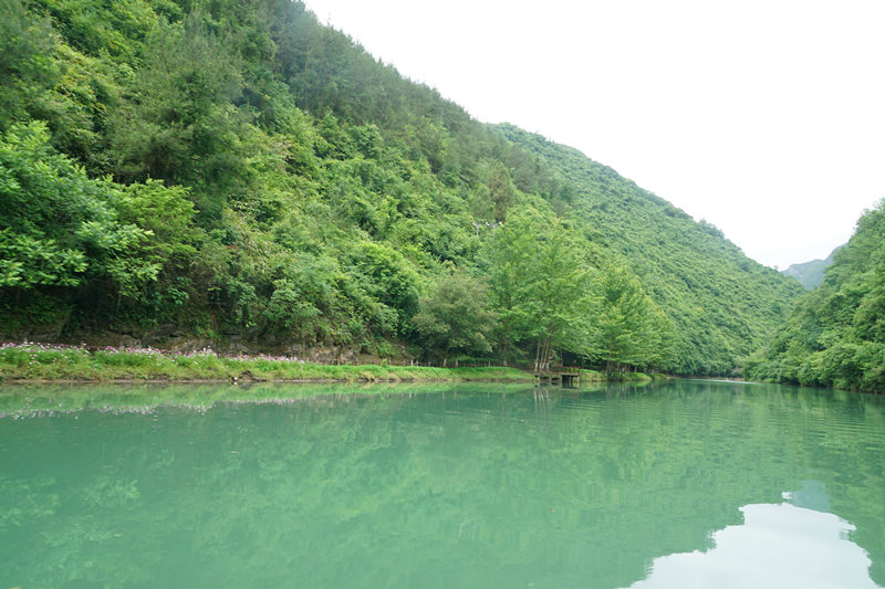 西鄉(xiāng)易尚國際夏日?qǐng)F(tuán)建歡樂行.jpg