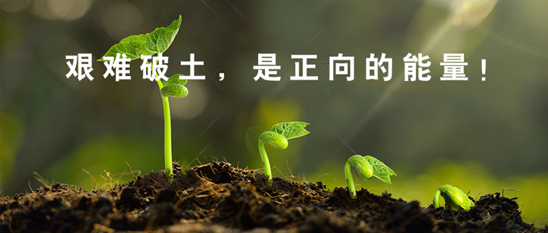 【標(biāo)桿實(shí)錄】西鄉(xiāng)易尚國際成長(zhǎng)記之初出茅廬.jpg