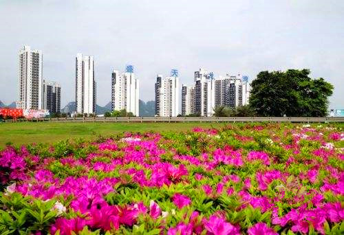 易尚國際 標(biāo)桿實(shí)錄 柳州易尚國際成長記之公司發(fā)展.jpg
